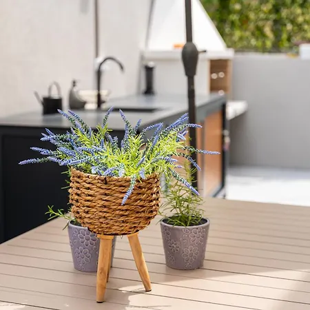 Bella Vista Heritage Oasis Villa