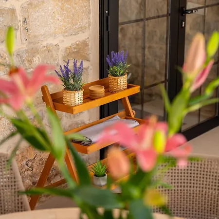Bella Vista Heritage Oasis Vila
